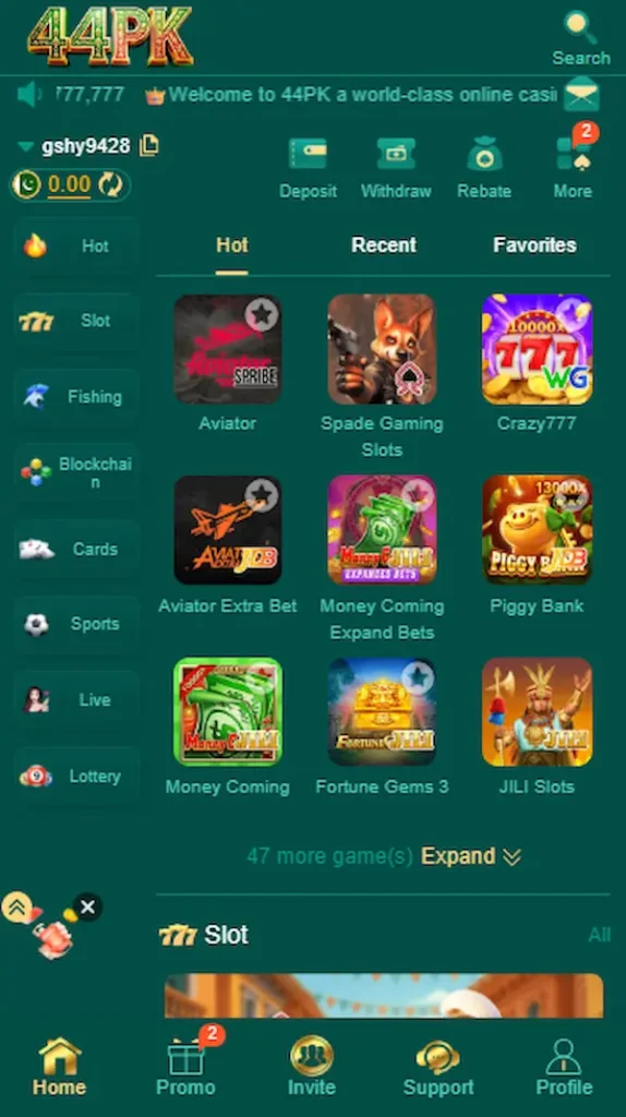 44pk game collection