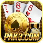 pak3 game